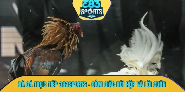 Đá gà trực tiếp